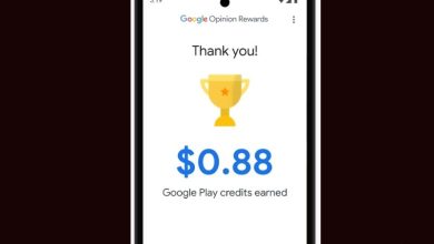 Google Opinion Rewards App